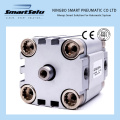 Spring Return Double Rod Stainless Miniature Boosting Pneumatic Air Cylinder